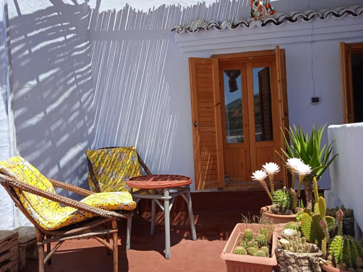 Vallparadis Pension Familiar FIRDAUS Chefchaouen Bagian luar foto